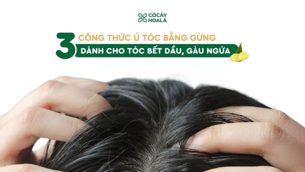 3 công thức ủ tóc bằng gừng dành cho tóc bết dầu, gàu ngứa