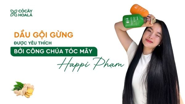 2 dầu gội gừng được công chúa tóc mây Happi Phạm yêu thích