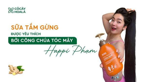 Sữa tắm gừng Cỏ Cây Hoa Lá được Happi Phạm yêu thích