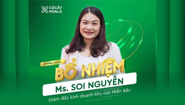 CHÍNH THỨC BỔ NHIỆM MS.SOI NGUYỄN - TÂN GIÁM ĐỐC KINH DOANH KHU VỰC MIỀN BẮC