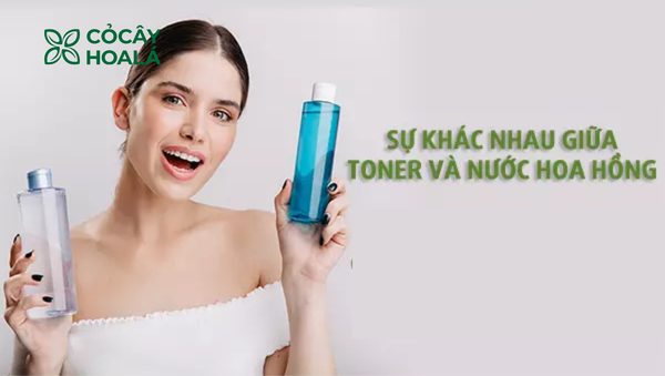 Toner và Nước Hoa Hồng có giống nhau không?