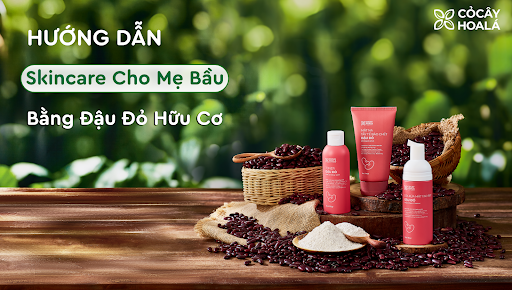 Hướng Dẫn Skincare Cho Mẹ Bầu Từ Nguyên Liệu Thiên Nhiên