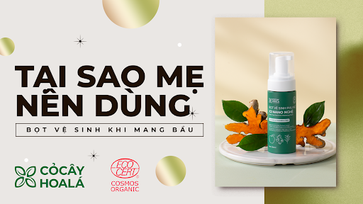 Tại Sao Mẹ Bầu Nên Dùng Dung Dịch Vệ Sinh Tạo Bọt Sẵn?