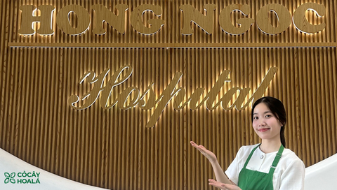 Co Cay Hoa La product is officially available at Hong Ngoc Hospital supermarket
