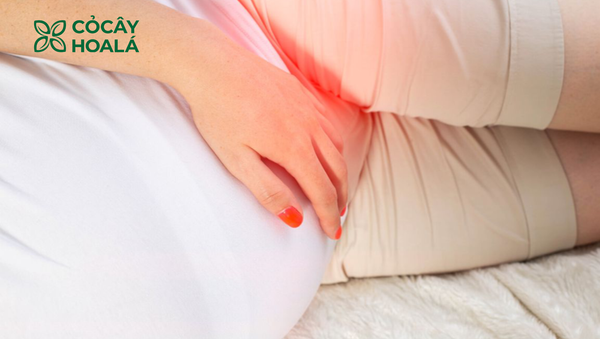 Những thay đổi ở vùng kín khi mang thai