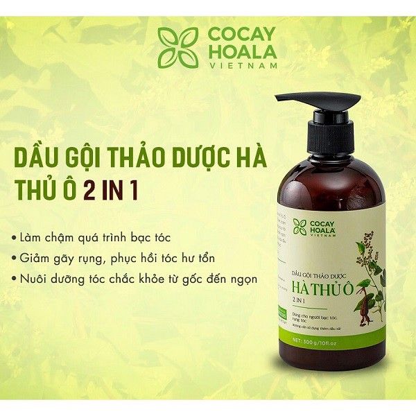 có nên nhổ tóc bạc sớm không?giải pháp khắc phục tình trạng tóc bạc sớm hiệu quả tại nhà