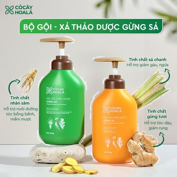Tình trạng tóc dầu bết dính