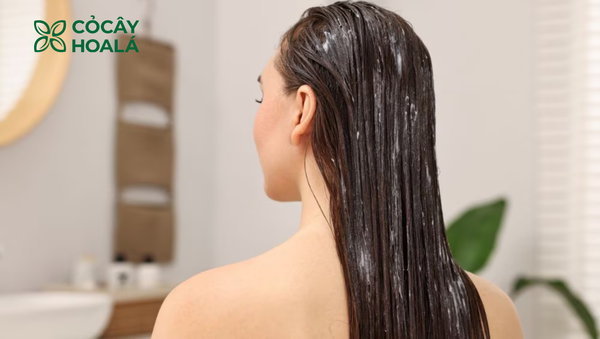 Cách cải thiện và ngăn ngừa tóc chẻ ngọn hiệu quả