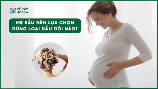 Có bầu nên dùng dầu gội gì?
