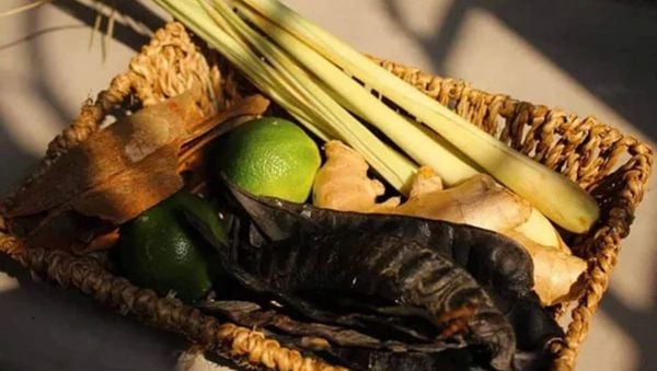 Các loại thảo dược có trong dầu gội an toàn cho bà bầu