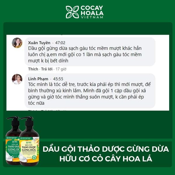 Dầu gội thảo dược gừng dừa cỏ cây hoa lá làm sạch gàu hiệu quả chỉ sau 7 ngày sử dụng