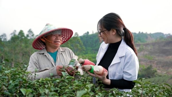 Cách chọn dầu gội phù hợp với từng loại tóc