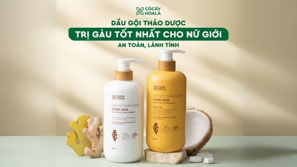 Dầu gội trị gàu thảo dược Gừng Dừa Cỏ Cây Hoa Lá cho nữ