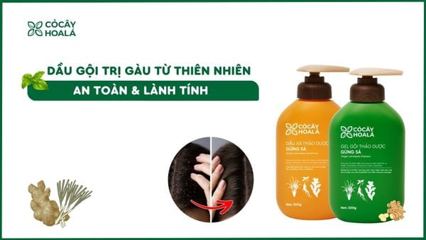 Dầu gội trị gàu từ thiên nhiên lành tính tốt nhất hiện nay