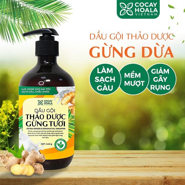 Dầu gội thảo dược gừng dừa cỏ cây hoa lá bí quyet giúp mẹ bầu loại bỏ gàu ngứa hiệu quả, an toàn