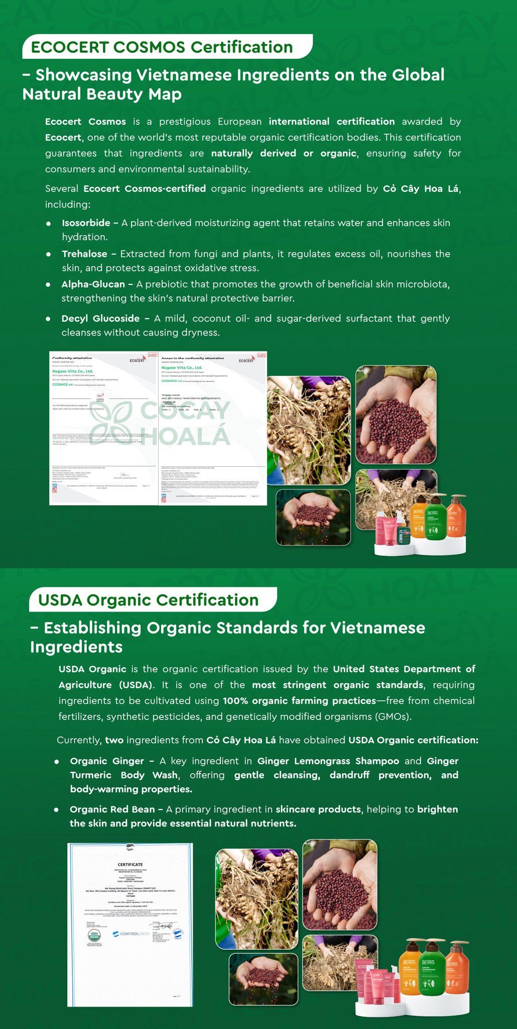 Ecocert Cosmos and USDA Certifications Cỏ Cây Hoa Lá