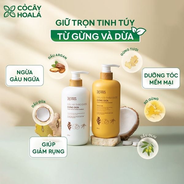 Giải pháp sử dụng dầu gội thảo dược