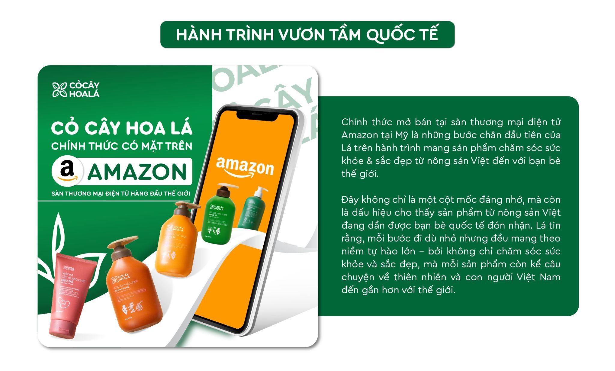 Lá có mặt trên Amazon