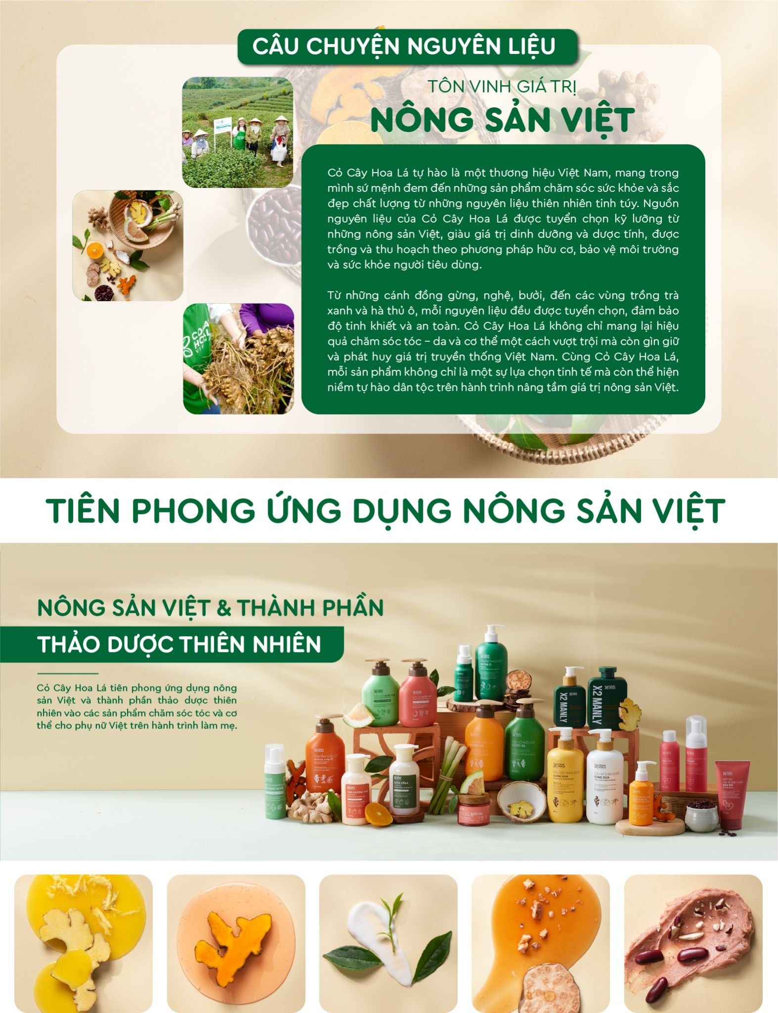 Câu chuyện nguyên liệu của Cỏ Cây Hoa Lá