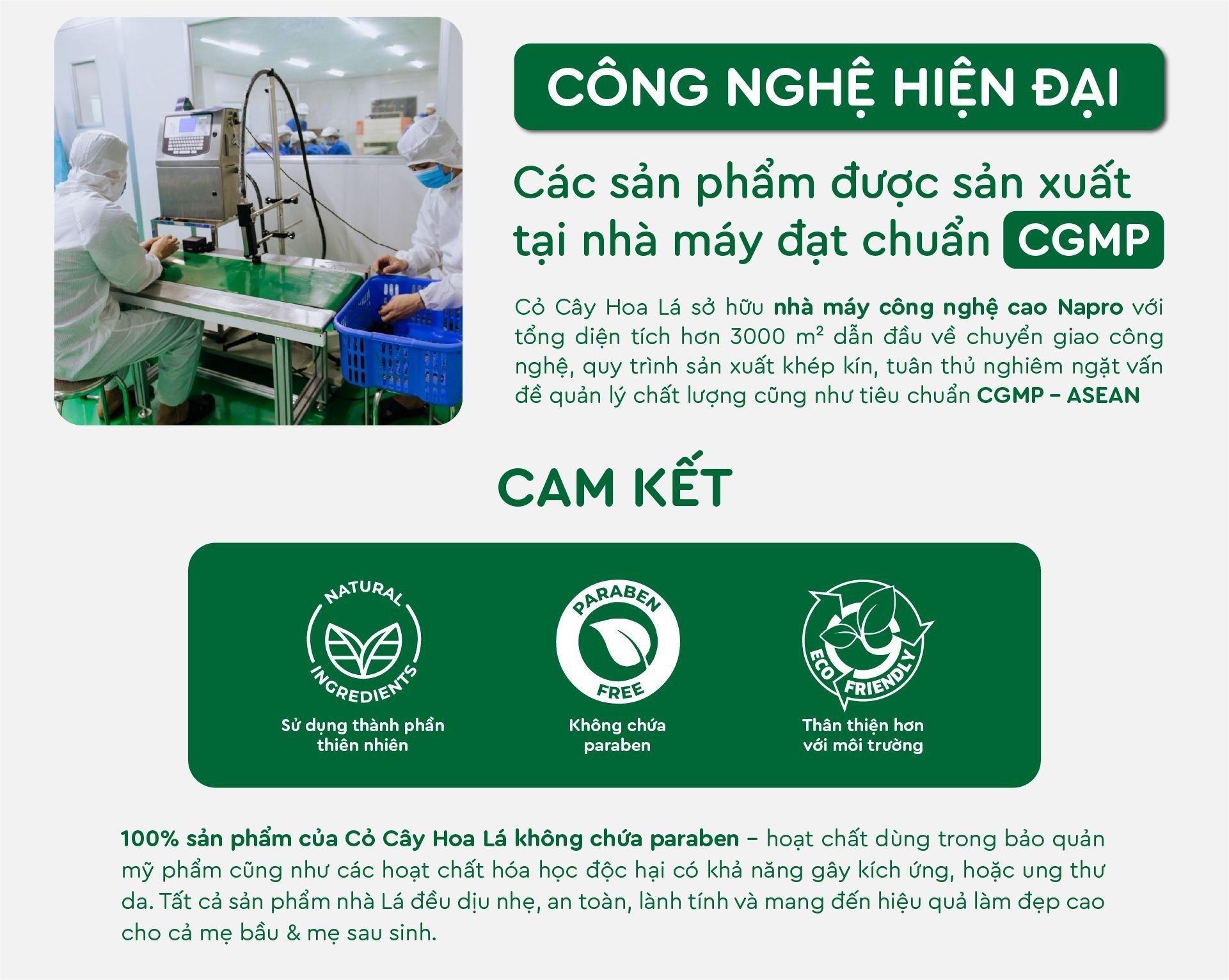 Cam kết của Cỏ Cây Hoa Lá