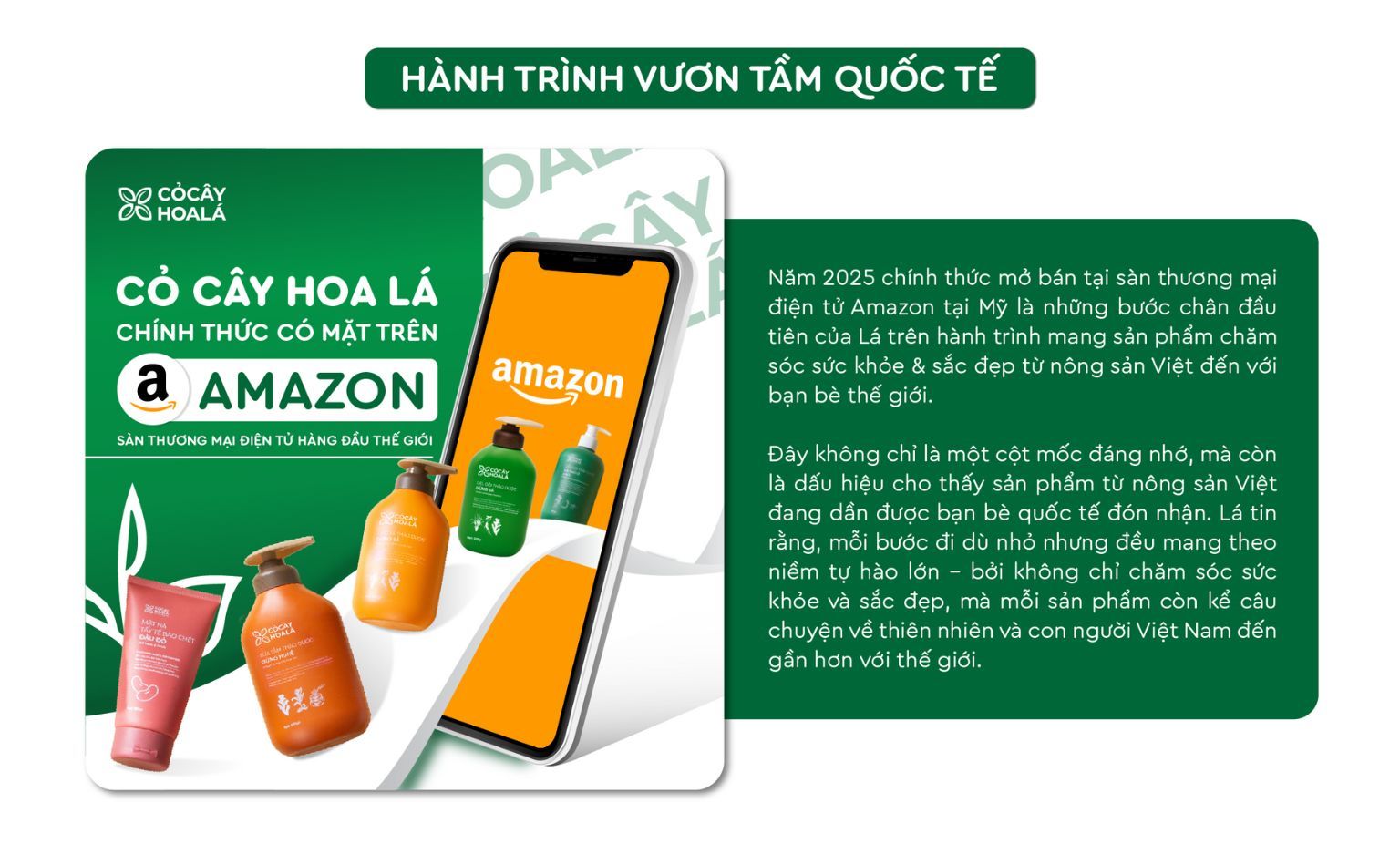Lá có mặt trên Amazon