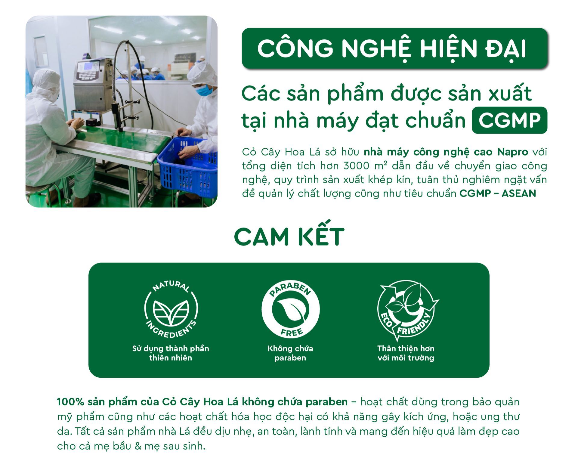 Nhà máy của Cỏ Cây Hoa Lá