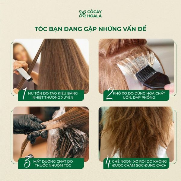 Thuốc xả tóc làm mất thuốc uốn: Giải pháp khôi phục tóc uốn hiệu quả