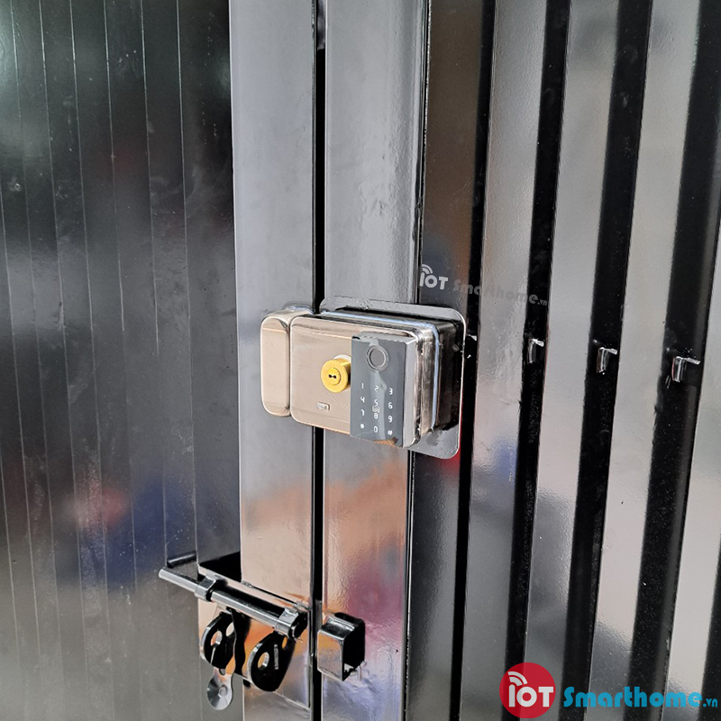 khoa thong minh cua oong va cua nha tro