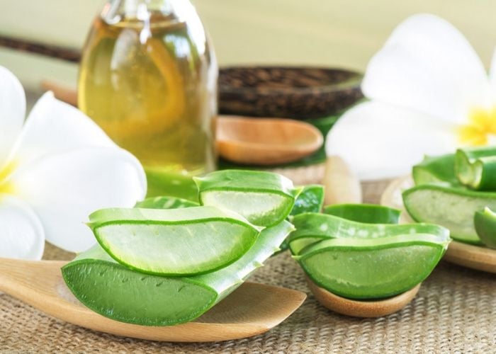 Đắp mặt nạ Lô Hội có tác dụng gì? 7 tác dụng của Lô Hội với da mặt