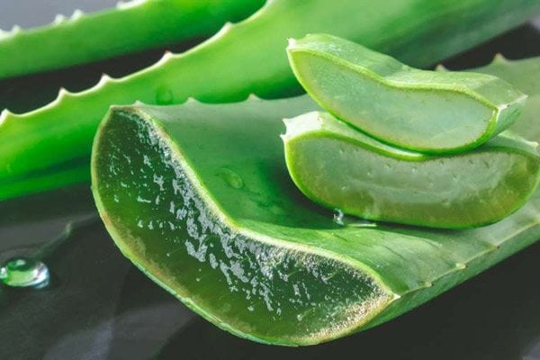 12 cách đắp mặt nạ Lô Hội trị mụn, trắng da hiệu quả