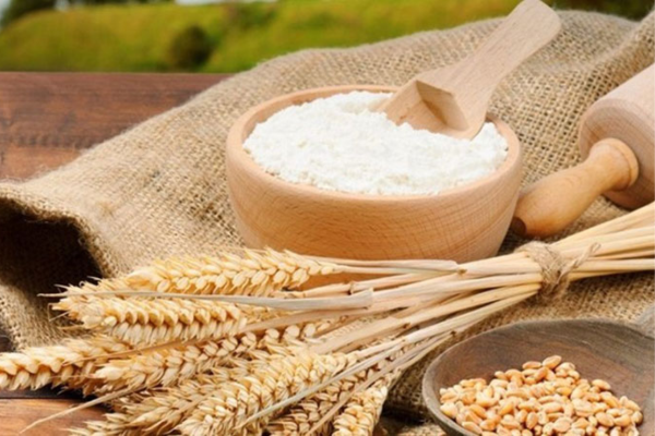 BÍ QUYẾT LÀM ĐẸP DA HIỆU QUẢ TỪ GẠO