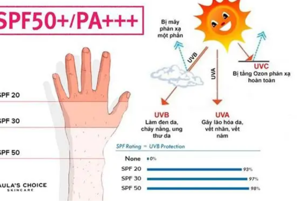 Tìm hiểu chỉ số SPF và PA để lựa chọn kem chống nắng phù hợp