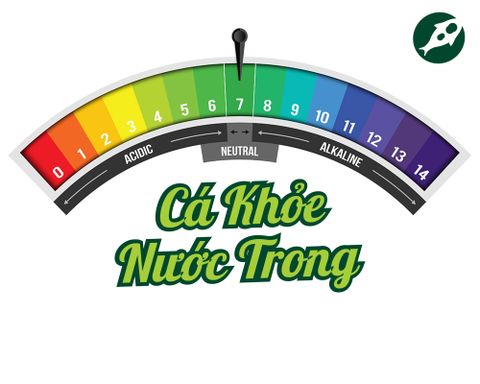 pH là gì và tại sao nó quan trọng