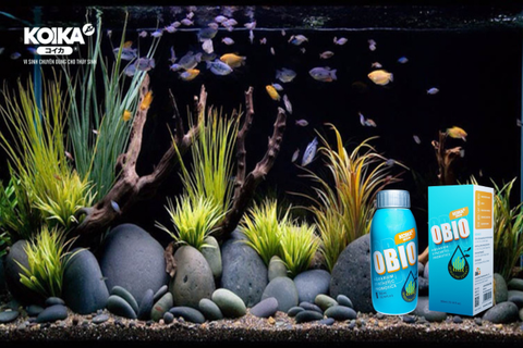 Tìm Hiểu Về Loại Men Vi Sinh Dạng Lỏng Tốt Nhất Trên Thị Trường