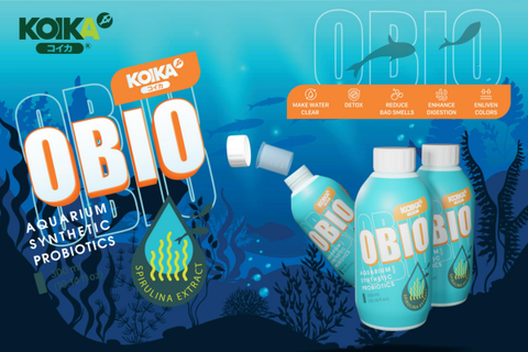 Loại Men Vi Sinh Hồ Cá Cảnh Mọi Người Nên Sử Dụng Hiện Nay