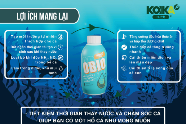 Vi sinh tổng hợp OBIO