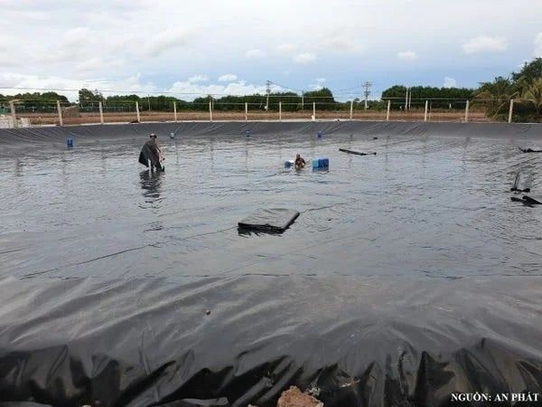 Chọn mua máy hàn bạt HDPE - Tư vấn thi công hàn bạt HDPE
