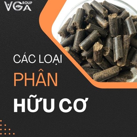 PHÂN HỮU CƠ LÀ GÌ? CÁC LOẠI PHÂN HỮU CƠ