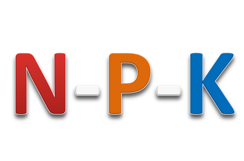 VAI TRÒ CÁC CHẤT DINH DƯỠNG THIẾT YẾU CỦA CÂY