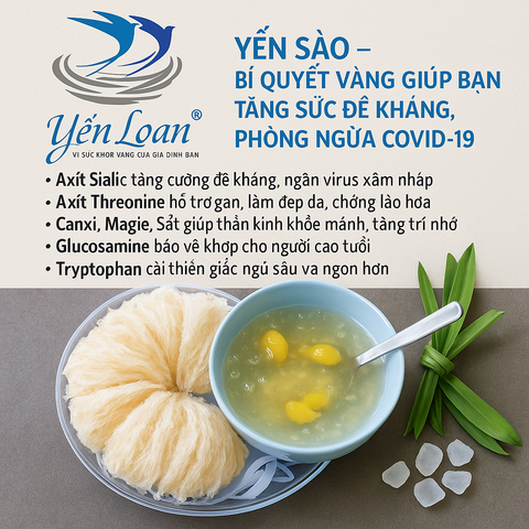 Công dụng tuyệt vời của Yến sào trong tăng cường sức đề kháng, phòng ngừa Covid-19!