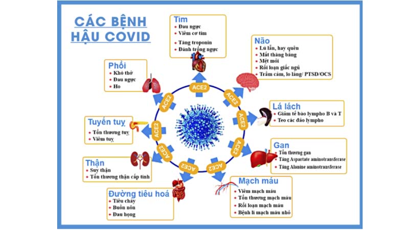 Các bệnh hậu covid