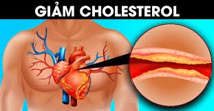 Hồng sâm Hàn Quốc giúp giảm cholesterols