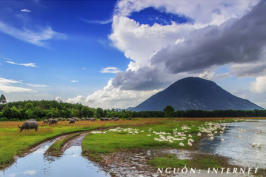 yen-sao-dau-tien-tai-tay-ninh