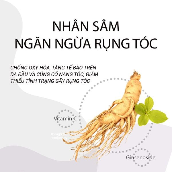 Tác dụng ngăn ngừa rụng tóc của Nhân sâm