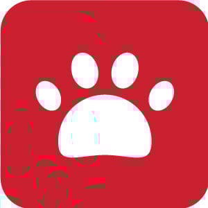 CHĂM SÓC THÚ CƯNG (PET CARE)