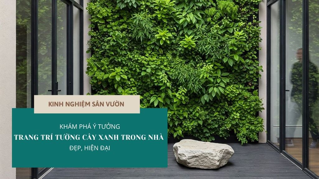 KHÁM PHÁ Ý TƯỞNG TRANG TRÍ TƯỜNG CÂY XANH TRONG NHÀ ĐẸP, HIỆN ĐẠI
