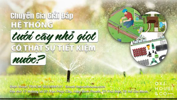 HỆ THỐNG TƯỚI CÂY NHỎ GIỌT CÓ THỰC SỰ TIẾT KIỆM NƯỚC? CHUYÊN GIA GIẢI ĐÁP