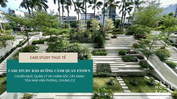 [CASE STUDY] BẢO DƯỠNG CẢNH QUAN ETOWN - CHUẨN MỰC QUẢN LÝ VÀ CHĂM SÓC CÂY XANH TÒA NHÀ VĂN PHÒNG, CHUNG CƯ