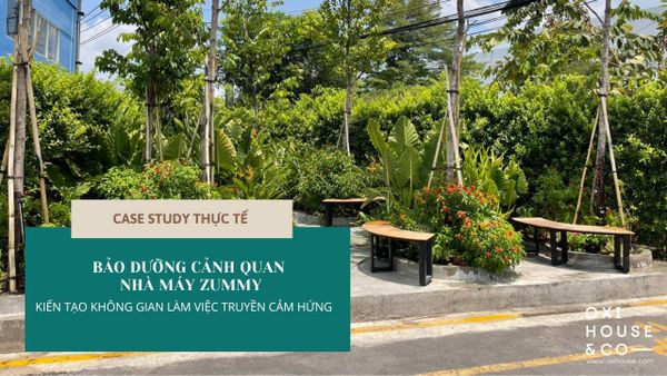 CASE STUDY BẢO DƯỠNG CẢNH QUAN NHÀ MÁY ZUMMY: KIẾN TẠO KHÔNG GIAN LÀM VIỆC TRUYỀN CẢM HỨNG