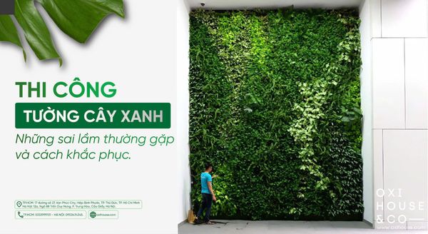 THI CÔNG TƯỜNG CÂY XANH: NHỮNG SAI LẦM THƯỜNG GẶP VÀ CÁCH KHẮC PHỤC